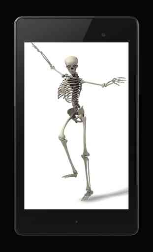 Danse Skeleton LWP vidéo 3