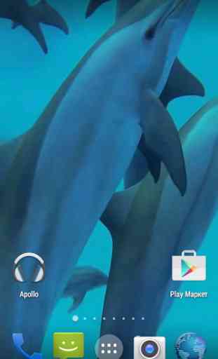 Dolphins. Live Video Wallpaper 2