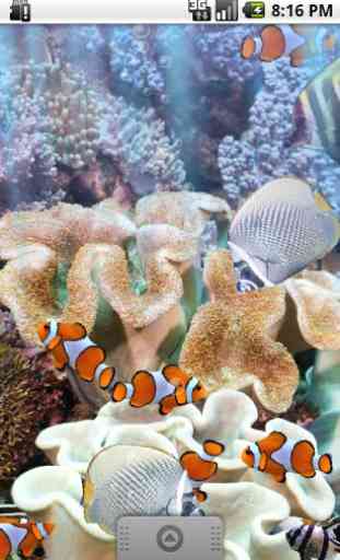Le véritable aquarium - LWP 4
