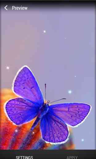 Papillon Fond d'écran animé 3