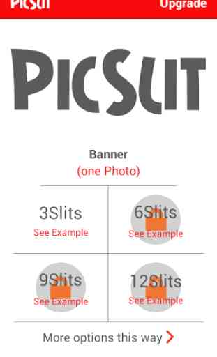PicSlit - Giant Banner / Grid 2
