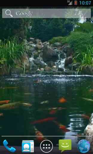 Real pond with Koi 4