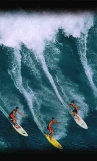 Surf Wallpaper 4