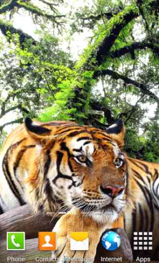 Tiger Live Wallpaper 4