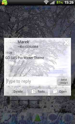 Winter Theme for GO SMS Pro 1
