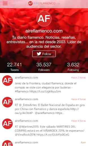 AF Flamenco 4