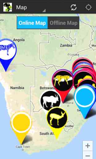 Africa: Live Safari Sightings 1
