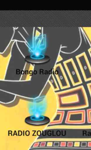 African RADIO 4