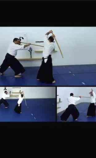Aikido Weapons Free 2