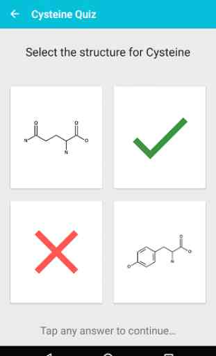 Amino Acid Test 4