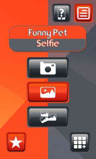 Drôle Pet selfie 1