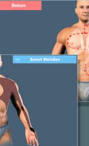 Easy Acupuncture 3D -FULL 4