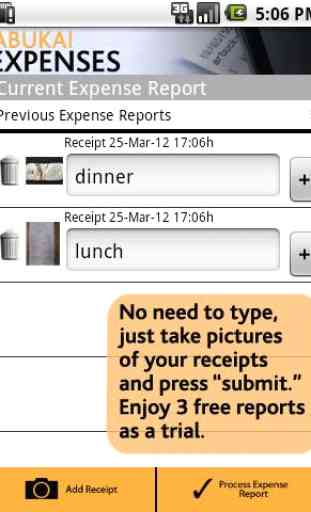 Expense Reports, Receipts 3