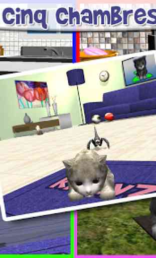 KittyZ - mon chat virtuel 3