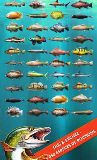 Let's Fish: Jeux de Pêche 3