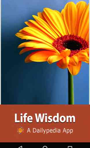 Life Wisdom Daily 1