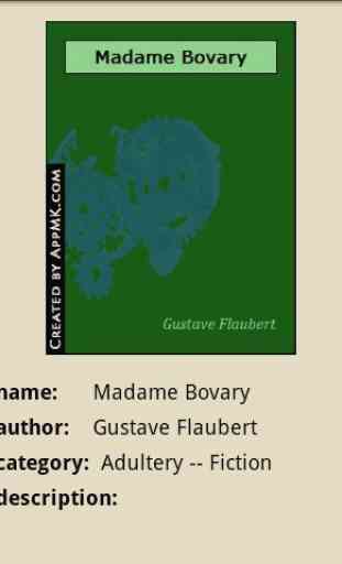 Madame Bovary 3
