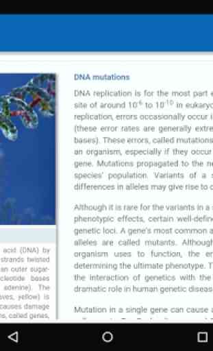 Molecular Genetics 2