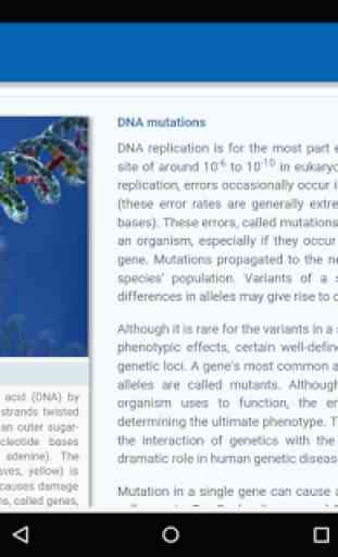 Molecular Genetics 4