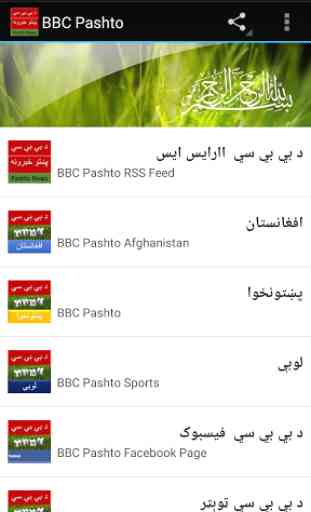 Pashto News-Global 1
