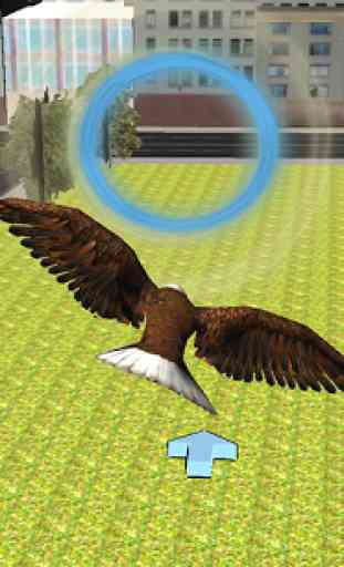 Rapide Oiseau Simulator Rio 1
