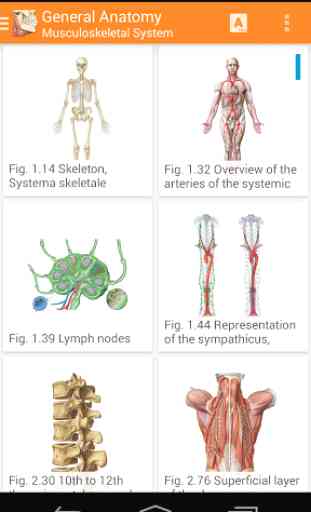 Sobotta Anatomy Atlas 3