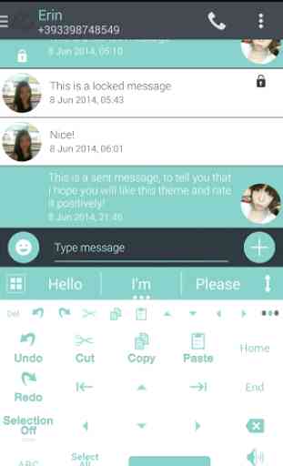 Theme for A.I.type Droid Soft 4
