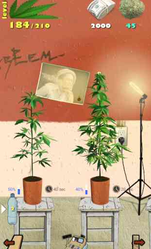 Weed Firm: RePlanted 2