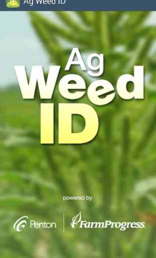 Ag Weed ID 1
