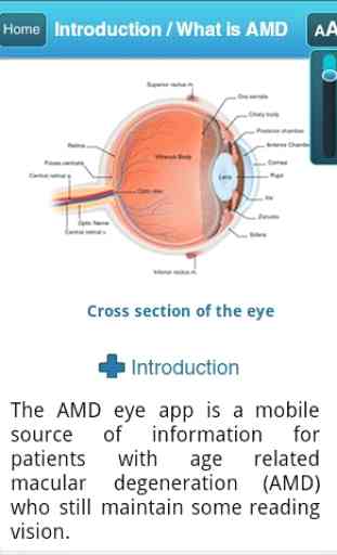 AMD Eye App 2
