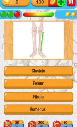 Anatomy Quiz Free Science Game 4