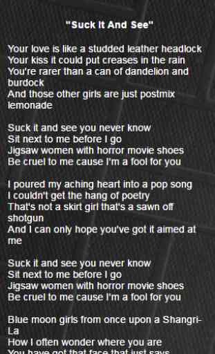Arctic Monkeys Lyrics 4