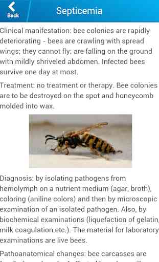 Beekeeping and bee diseases 1