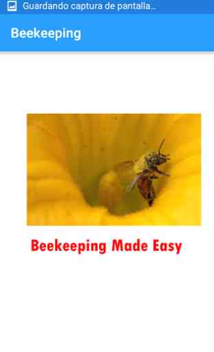 Beekeeping Made Easy 2