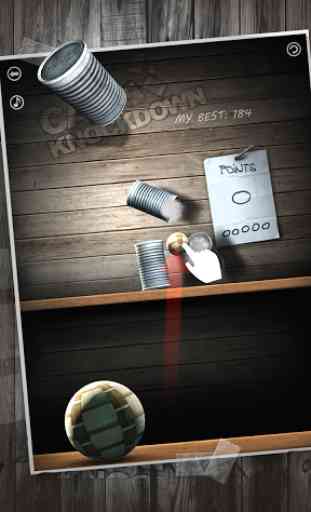 Can Knockdown 1