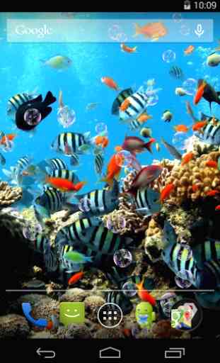 Fond d'écran animé Aquarium 1