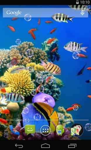 Fond d'écran animé Aquarium 2