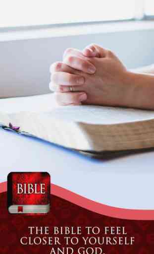 KJV Study Bible 2