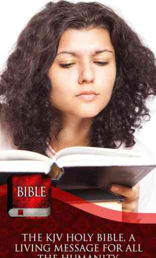 KJV Study Bible 4
