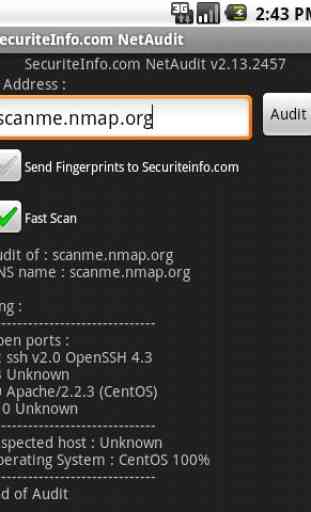NetAudit tcp port scanner 2