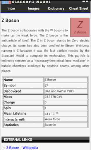 Physics: The Standard Model 2