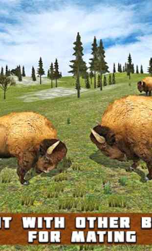 simulateur de bison américain 1