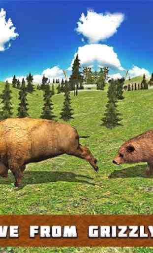 simulateur de bison américain 2