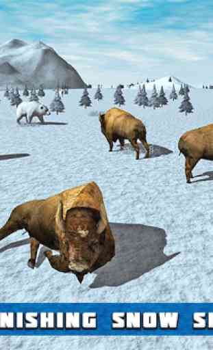 simulateur de bison américain 4