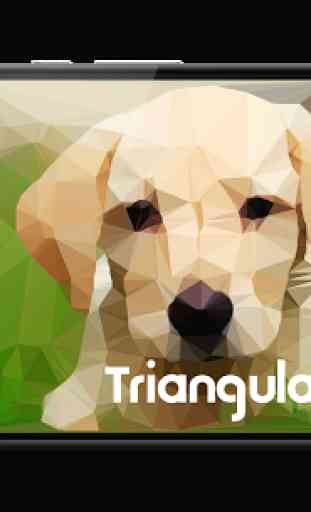 Triangulate it! 1
