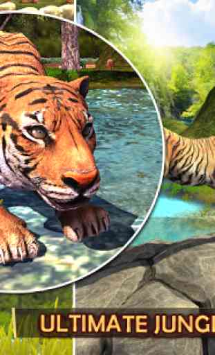 Wild Tiger Survival Simulator 3