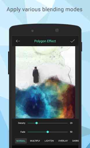 Polygon Effect - Low Poly Art 2