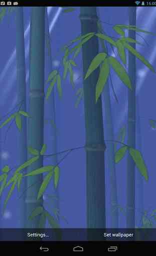 Bamboo Forest Free L.Wallpaper 3
