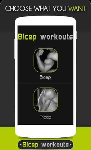 Bicep Workouts 2