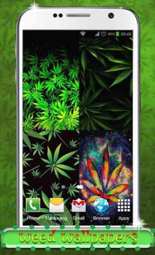 Cannabis Fond d'écran 1